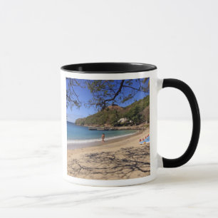 Taza La playa en el Parque Nacional Isla de Pigeon