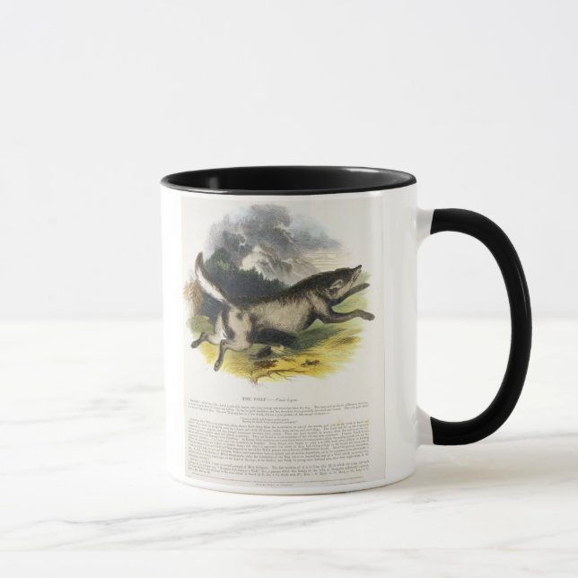 Taza La PU educativa del ilustracion del lobo (lupus de (Derecha)