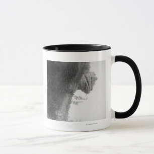 Taza La roca principal de la rana en la fotografía del