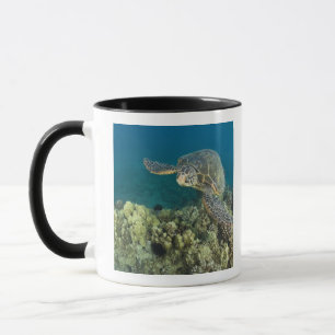 Taza La tortuga verde del mar, (Chelonia mydas), es la