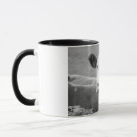 Taza La vaca riendo 