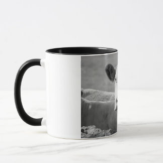 Taza La vaca riendo
