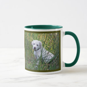 Taza laboratorio