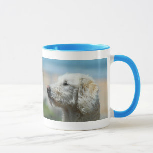 Taza Labradoodle