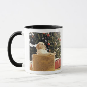 Taza Labrador joven que se inclina en un regalo de
