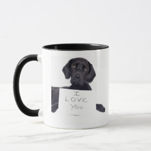 Taza Labrador negro 13 meses