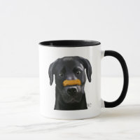 Labrador negro con huesos en la nariz