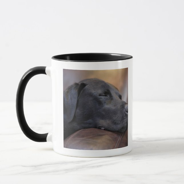 Taza Labrador negro dormido en el sofá, primer (Izquierda)