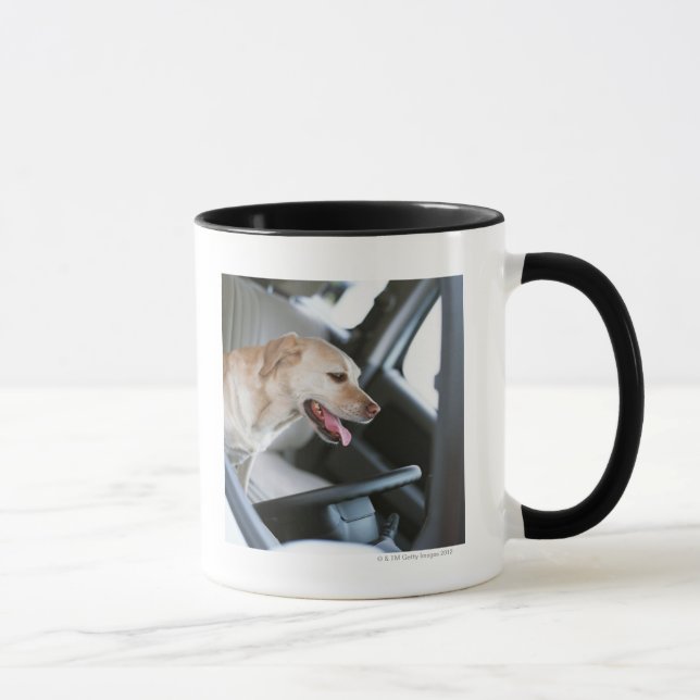 Taza Labrador retriever (Derecha)