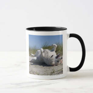 Taza Labrador retriever amarillo