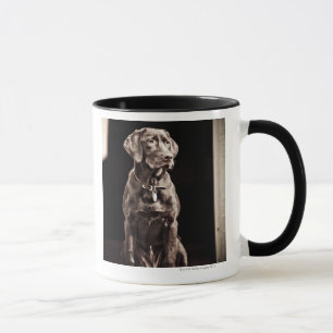Taza Labrador retriever del chocolate