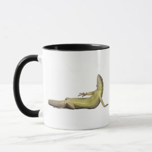 Taza Lagarto de la pared que miente abajo - muralis de