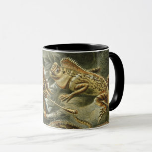 Taza Lagartos por Ernst Haeckel Lacertilia Animal Vinta