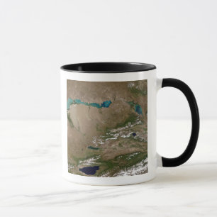 Taza Lago Balkhash en Kazajistán del este
