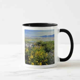 Taza LAGO BEAR, UT, ES, flor de mono & rodamonte,
