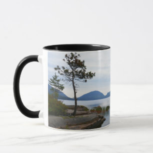Taza Lago Eagle en el Parque Nacional Acadia