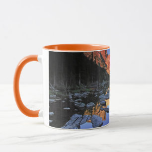 Taza Lago ideal