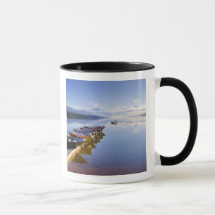 Taza Lago McDonald, Parque Nacional Glaciar, Montana,