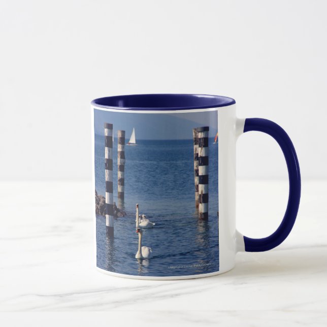 Taza Lago swan (Derecha)