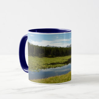 Taza Lago Swan I en el Parque Nacional Grand Teton