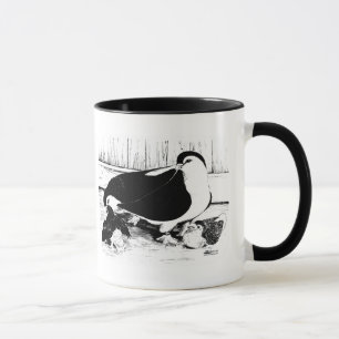 Taza Lahore Pigeons 1980