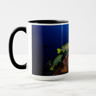 Taza Laja Ampat 3 subacuáticos