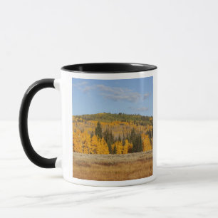 Taza Lambert Hollow, árboles de álamo temblón