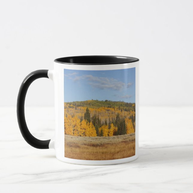 Taza Lambert Hollow, árboles de álamo temblón (Izquierda)