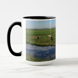 Taza Landscape 