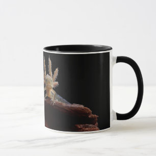Taza Larve con cresta del newt
