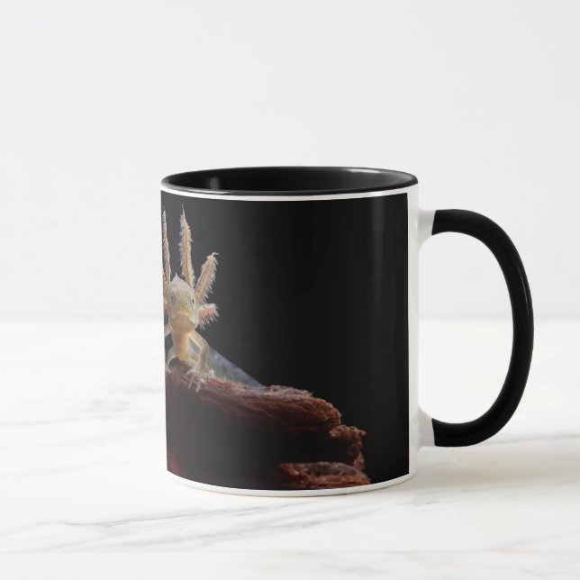 Taza Larve con cresta del newt (Derecha)