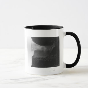 Taza Las cataratas Victoria en Rhodesia