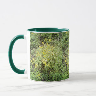 Taza Las duchas de abril pueden flamear