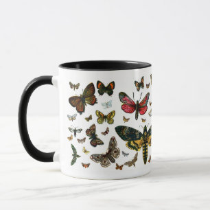 Taza Las mariposas y polillas más conocidas de Europa