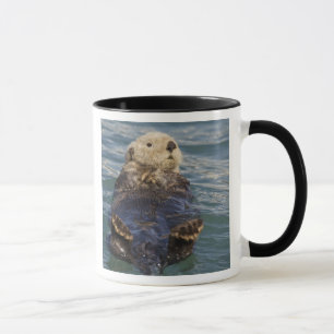 Taza Las nutrias marinas juegan en icebergs en Surprise
