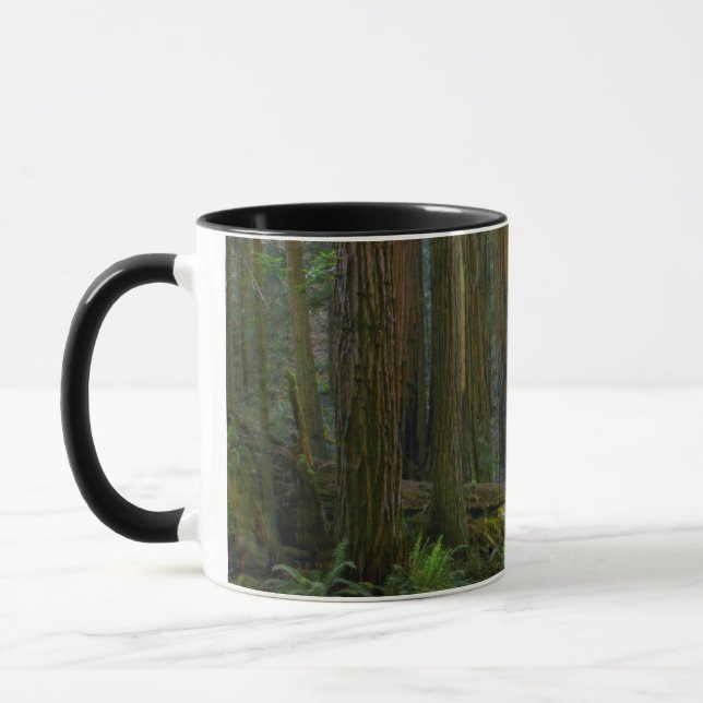 Taza Las secuoyas en el Parque Nacional Muir Woods (Izquierda)