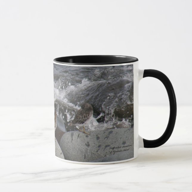 Taza Lavandera de la roca (ptilocnemis del Calidris) (Derecha)