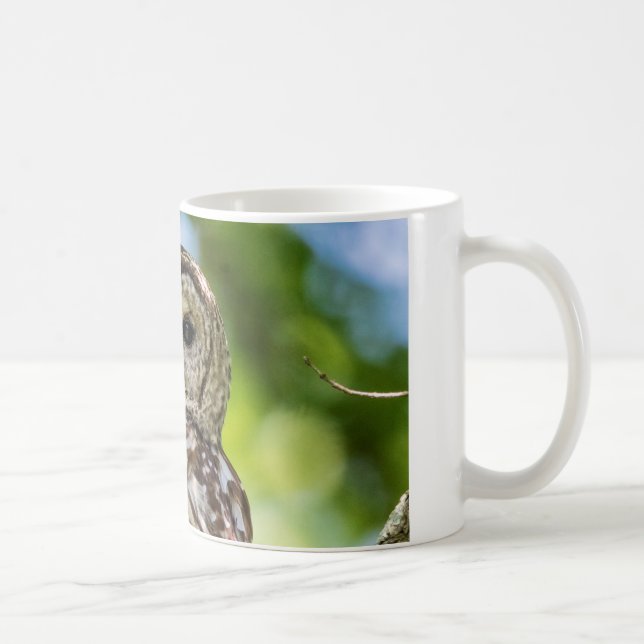 Taza Lechuza Barred (Derecha)