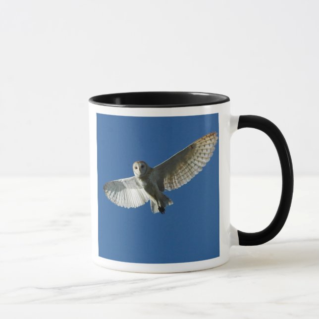 Taza Lechuza Común en Vuelo Diurno (Derecha)