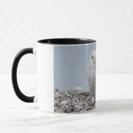 Taza Lechuza nevada en conchasCafé Mug