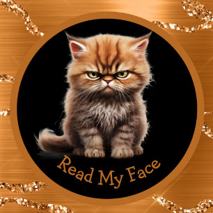 Taza Leer Mi Cara O Su Naranja De Texto Ficha Gato
