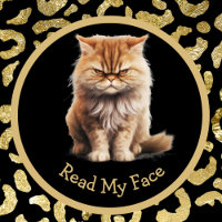 Leer mi cara o tu mensaje Gato enojado gracioso