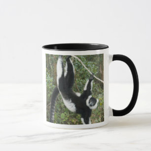 Taza Lémur de cola anillada negro y blanco, (Varecia