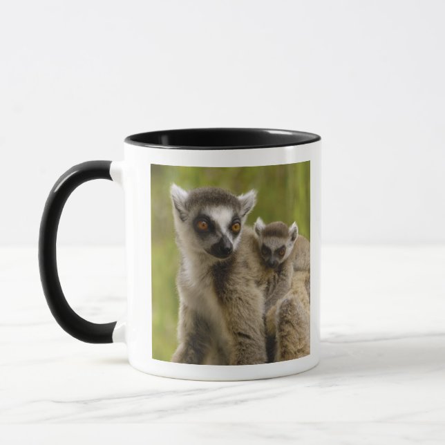 Taza Lémures de cola anillada (Lemur catta) Madre e hij (Izquierda)