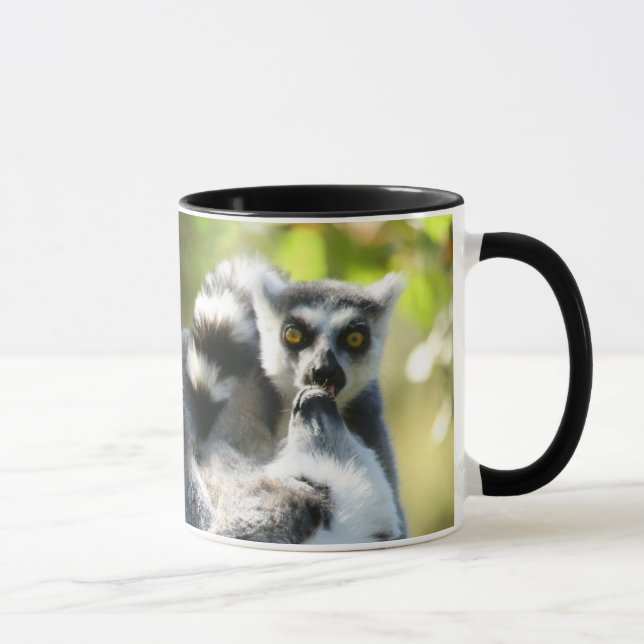 Taza Lemures de Madagascar (Derecha)
