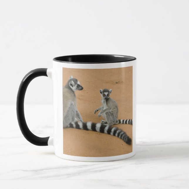 Taza Lemurs de cola anillada (Lemur catta), Berenty (Izquierda)