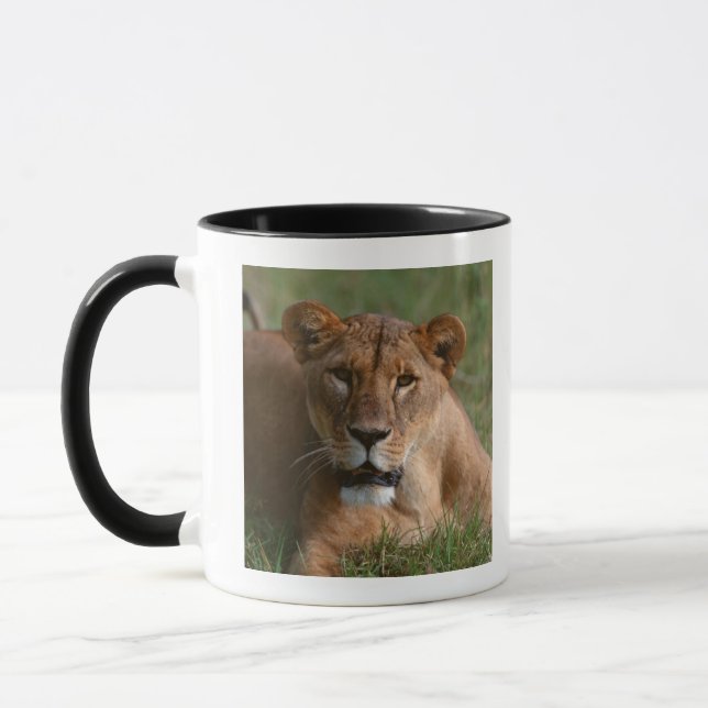 Taza León (Izquierda)