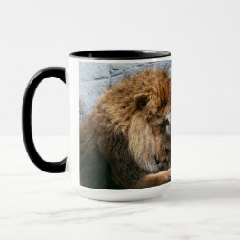 Taza León