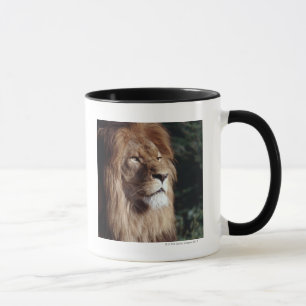 Taza león