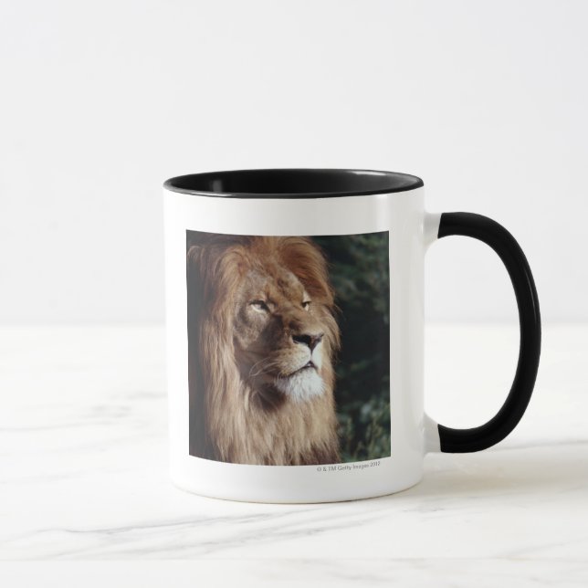 Taza león (Derecha)
